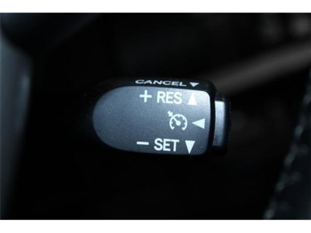 ヴォクシー(新潟県新潟市東区)