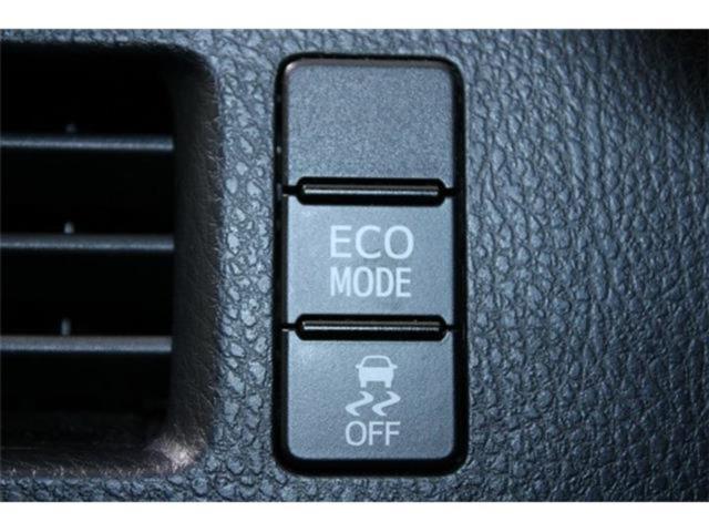 ヴォクシー(新潟県新潟市東区)