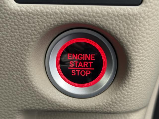 N＿BOX（新潟県長岡市）画像19