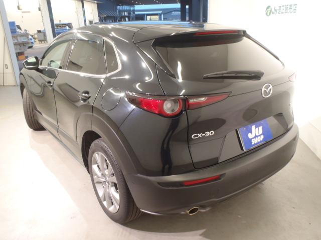 ＣＸ－３０（新潟県新発田市）画像3