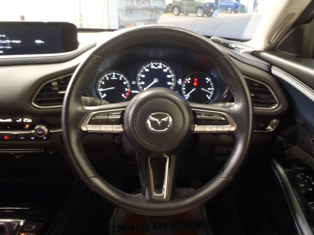 ＣＸ－３０（新潟県新発田市）画像9