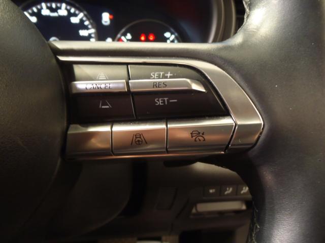 ＣＸ－３０（新潟県新発田市）画像10