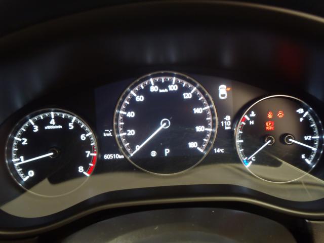 ＣＸ－３０（新潟県新発田市）画像23