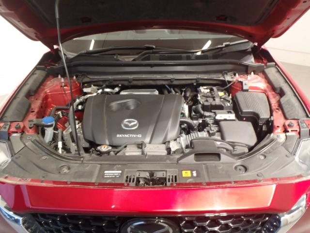 CX-5（新潟県新発田市）画像21