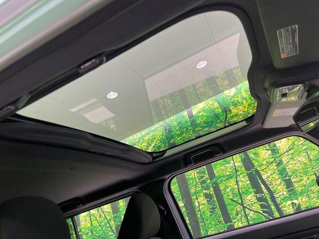 タフト（新潟県長岡市）画像4