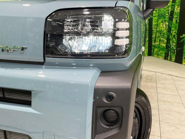 タフト（新潟県長岡市）画像15