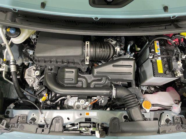 タフト（新潟県長岡市）画像17