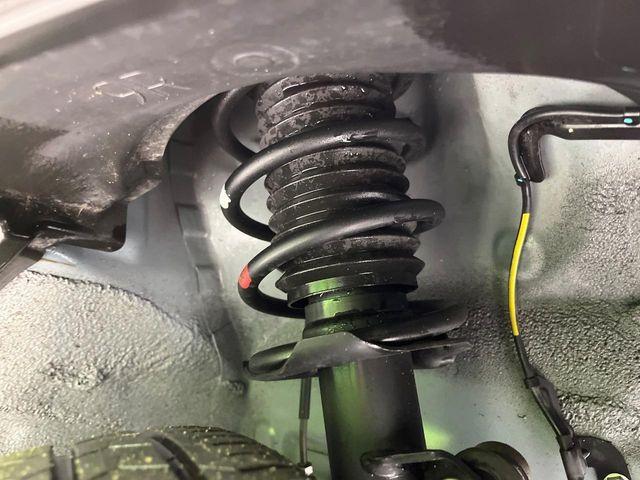 タフト（新潟県長岡市）画像19