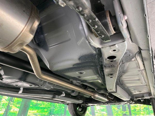 タフト（新潟県長岡市）画像20