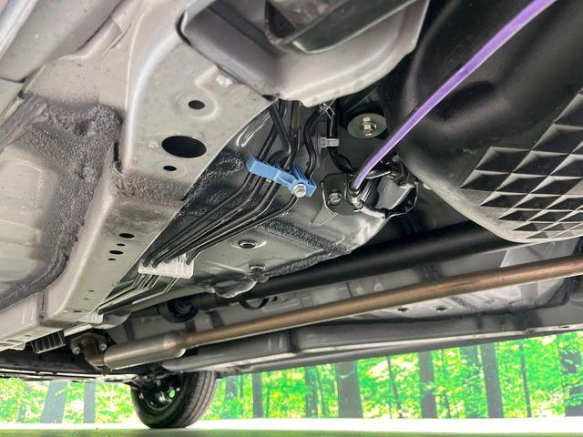 タフト（新潟県長岡市）画像21