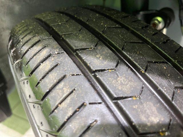 タフト（新潟県長岡市）画像25