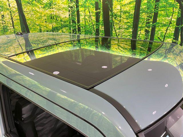 タフト（新潟県長岡市）画像26