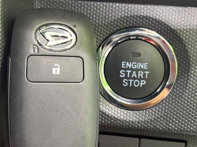 タフト（新潟県長岡市）画像32