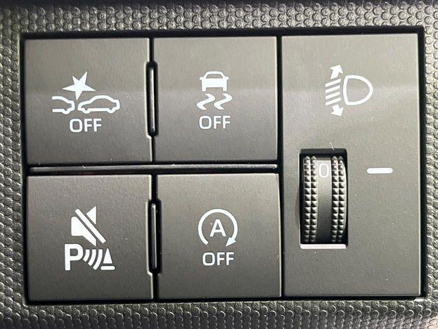 タフト（新潟県長岡市）画像33