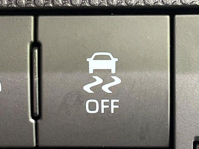 タフト（新潟県長岡市）画像35