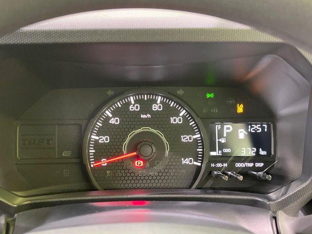 タフト（新潟県長岡市）画像38