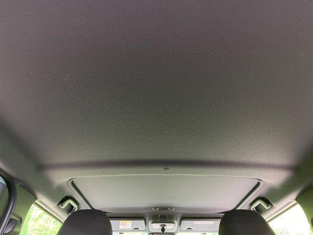 タフト（新潟県長岡市）画像50