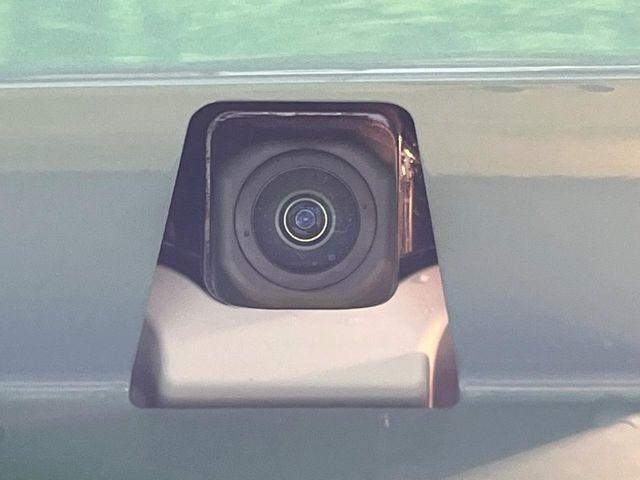 タフト（新潟県長岡市）画像57