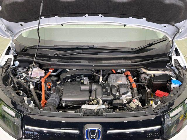 フリード(新潟県新潟市東区)