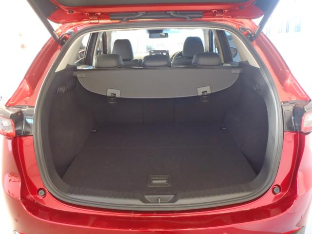 CX-5（新潟県新発田市）画像7