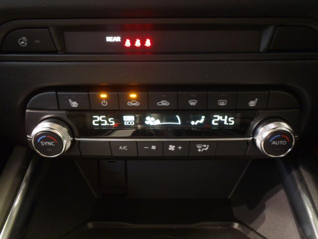 CX-5（新潟県新発田市）画像14