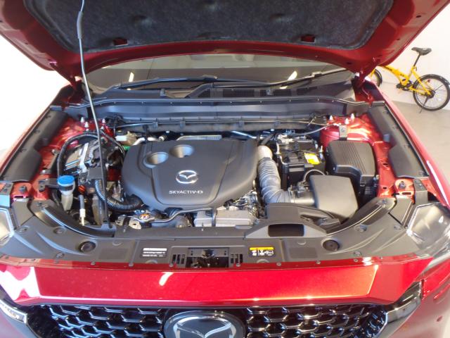 CX-5（新潟県新発田市）画像22