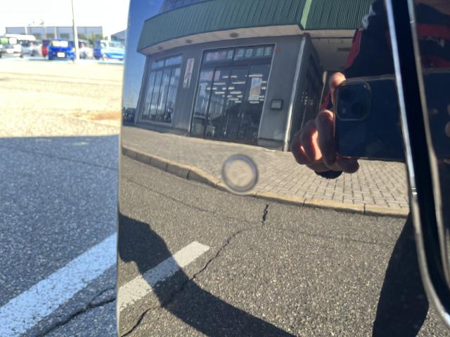 デイズ(新潟県新潟市西蒲区)