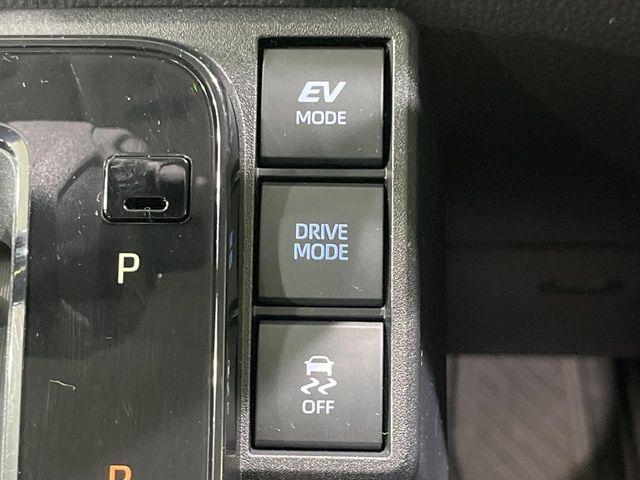 シエンタ(新潟県長岡市)