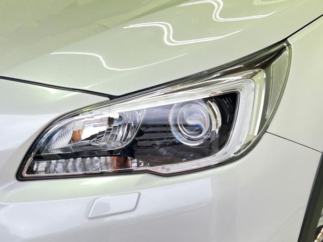 アウトバック(新潟県新潟市江南区)