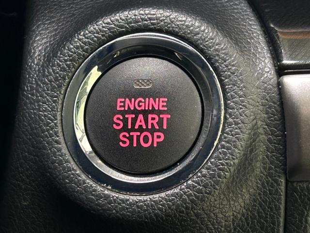 アウトバック(新潟県新潟市江南区)