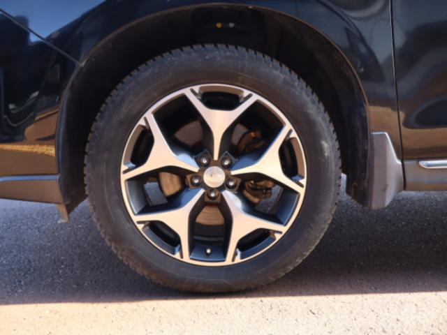 フォレスター（新潟県新潟市中央区）画像65