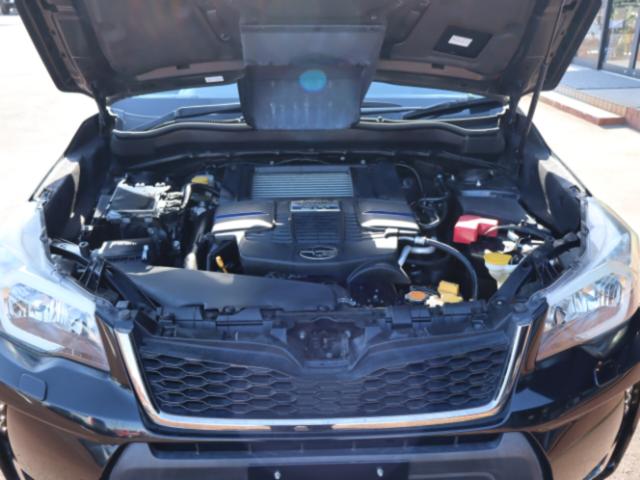 フォレスター（新潟県新潟市中央区）画像68