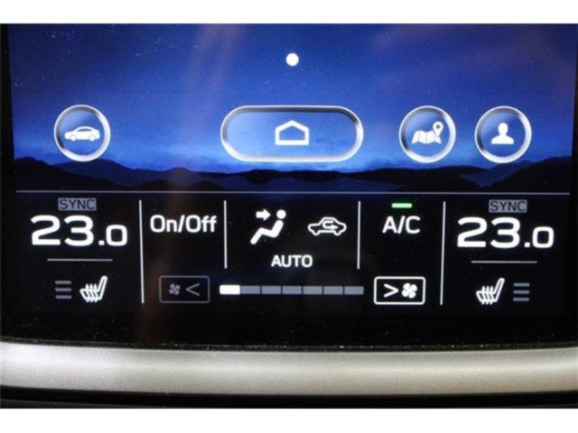 レヴォーグ(新潟県新潟市東区)