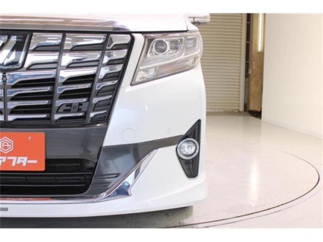 アルファード(新潟県新潟市東区)