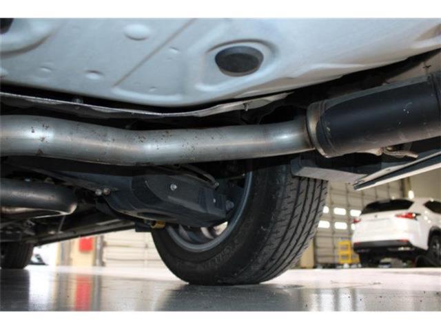 アルファード(新潟県新潟市東区)