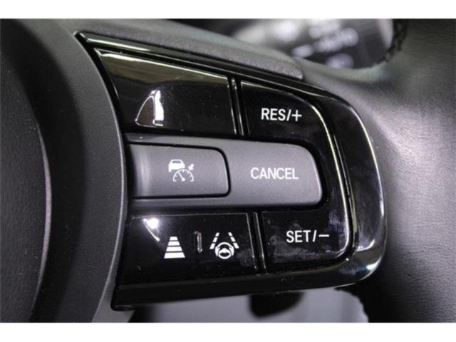 ヴェゼル(新潟県新潟市東区)