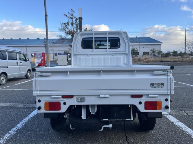 キャリイトラック(新潟県新潟市西蒲区)