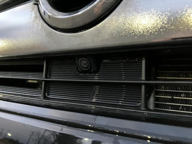 デイズ(新潟県新潟市西蒲区)