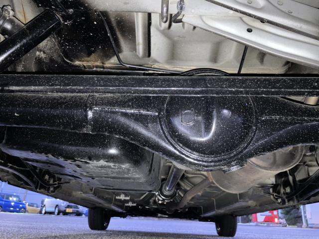 デイズ(新潟県新潟市西蒲区)