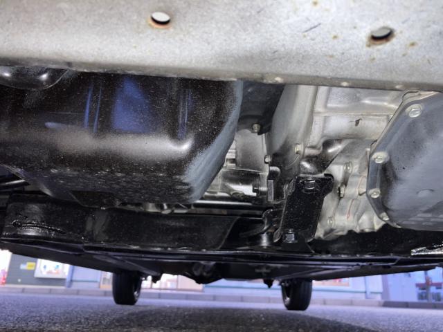 デイズ(新潟県新潟市西蒲区)