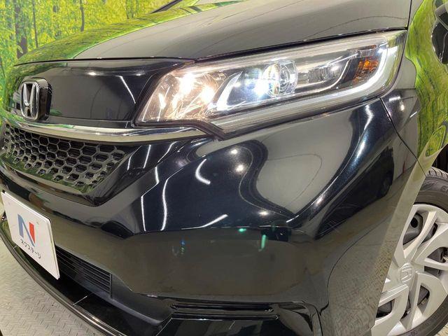 フリード(新潟県新潟市南区)