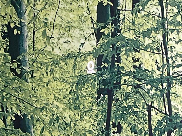 CX-30(新潟県新潟市東区)