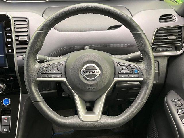 セレナ(新潟県新潟市南区)