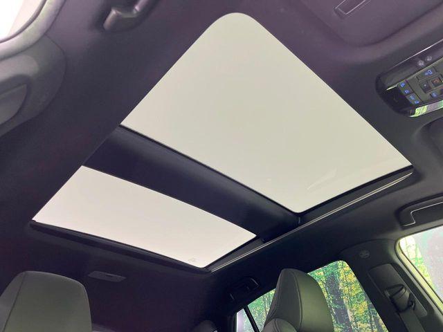 ハリアー(新潟県長岡市)