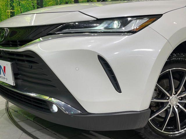 ハリアー(新潟県長岡市)