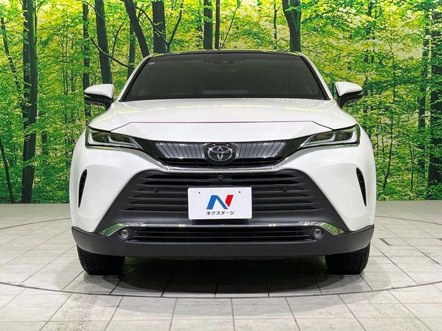 ハリアー(新潟県長岡市)