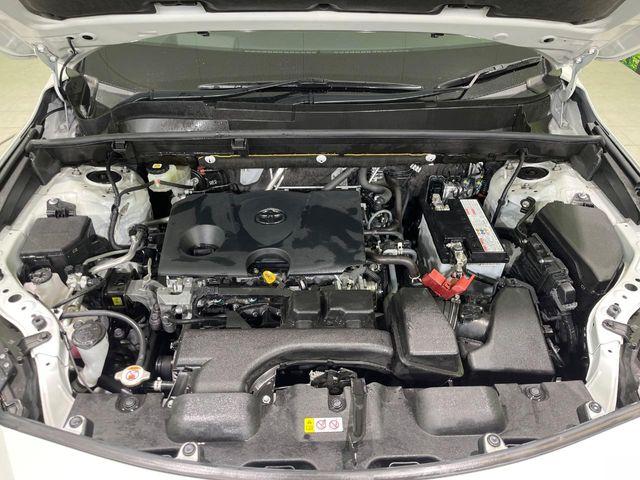 ハリアー(新潟県長岡市)