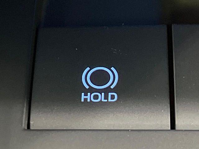 ハリアー(新潟県長岡市)