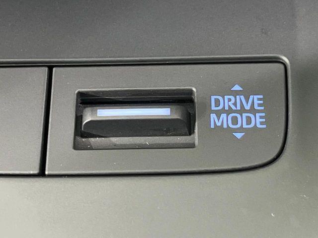 ハリアー(新潟県長岡市)