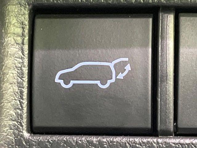 ハリアー(新潟県長岡市)